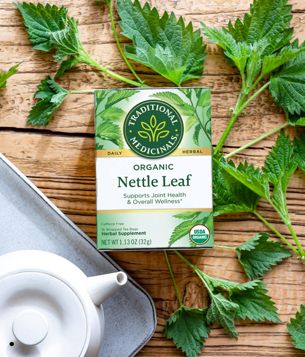Cup of brewed nettle leaf tea