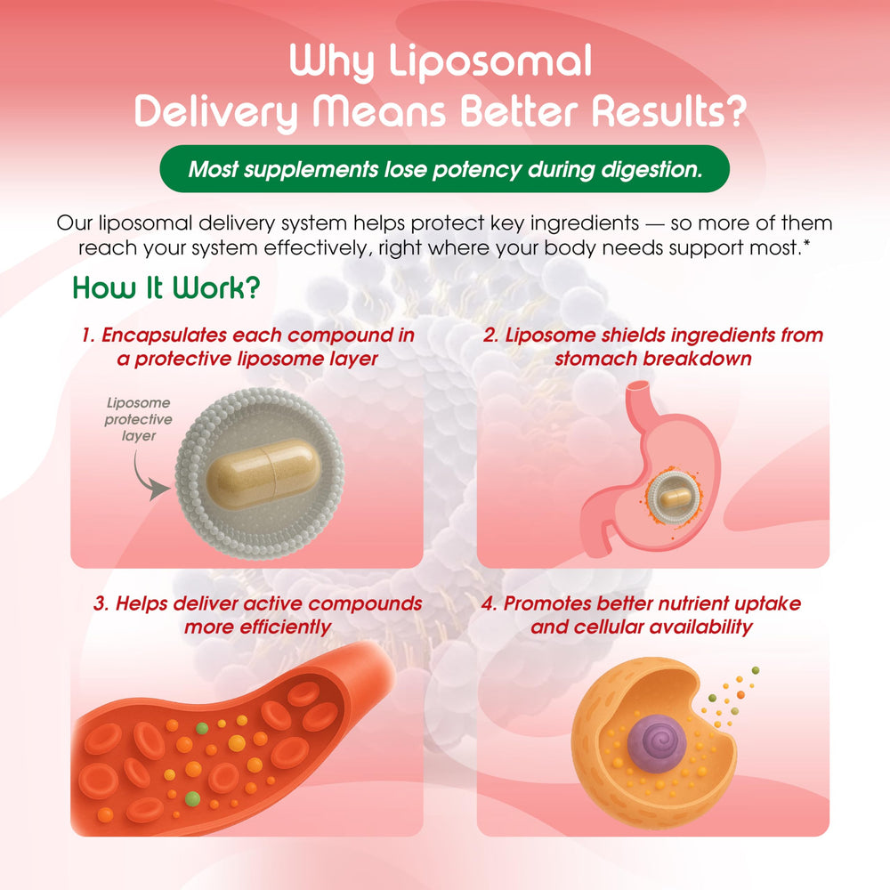 Trans-resveratrol boost graphic