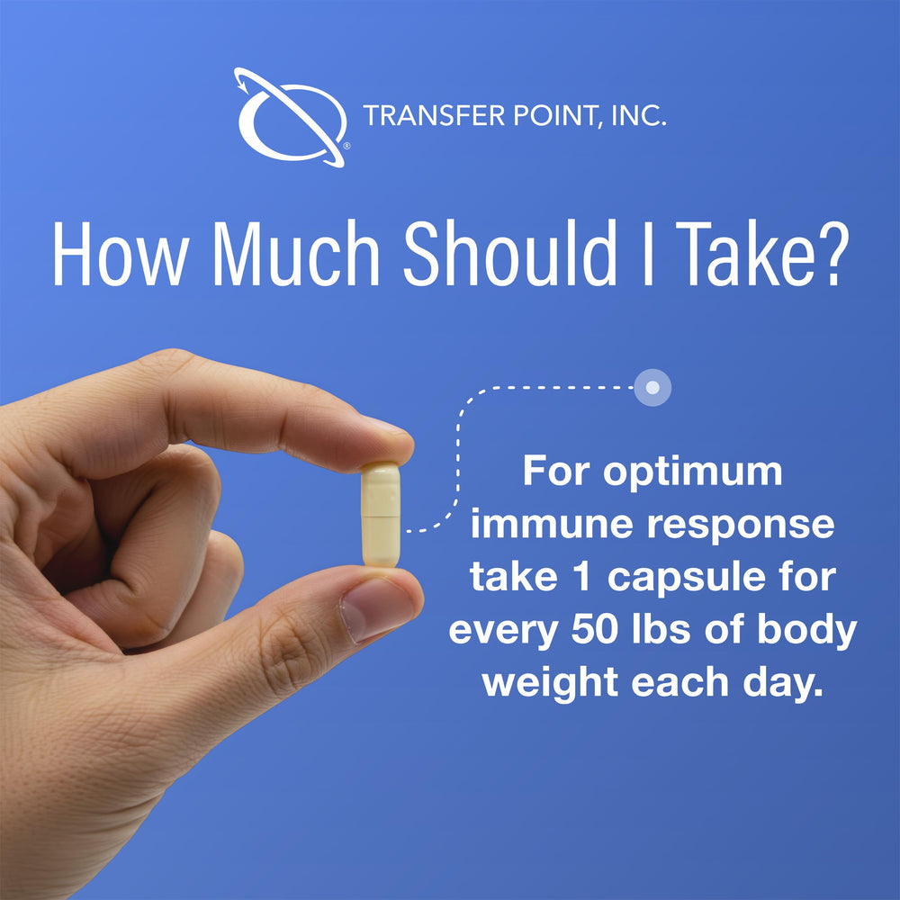 Capsule close-up showing no fillers for Beta Glucan capsules