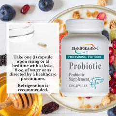 Illustration of digestive system showing probiotic and enzyme support