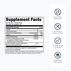 Scoop of Creatine HMB powder beside the bottle