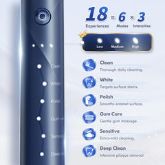 Travel case and wall holder for blue electric toothbrush