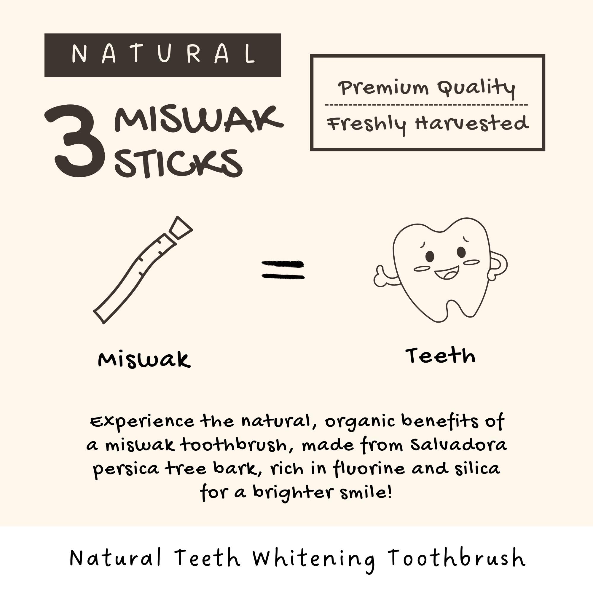 Travel-friendly Miswak sticks for on the go brushing