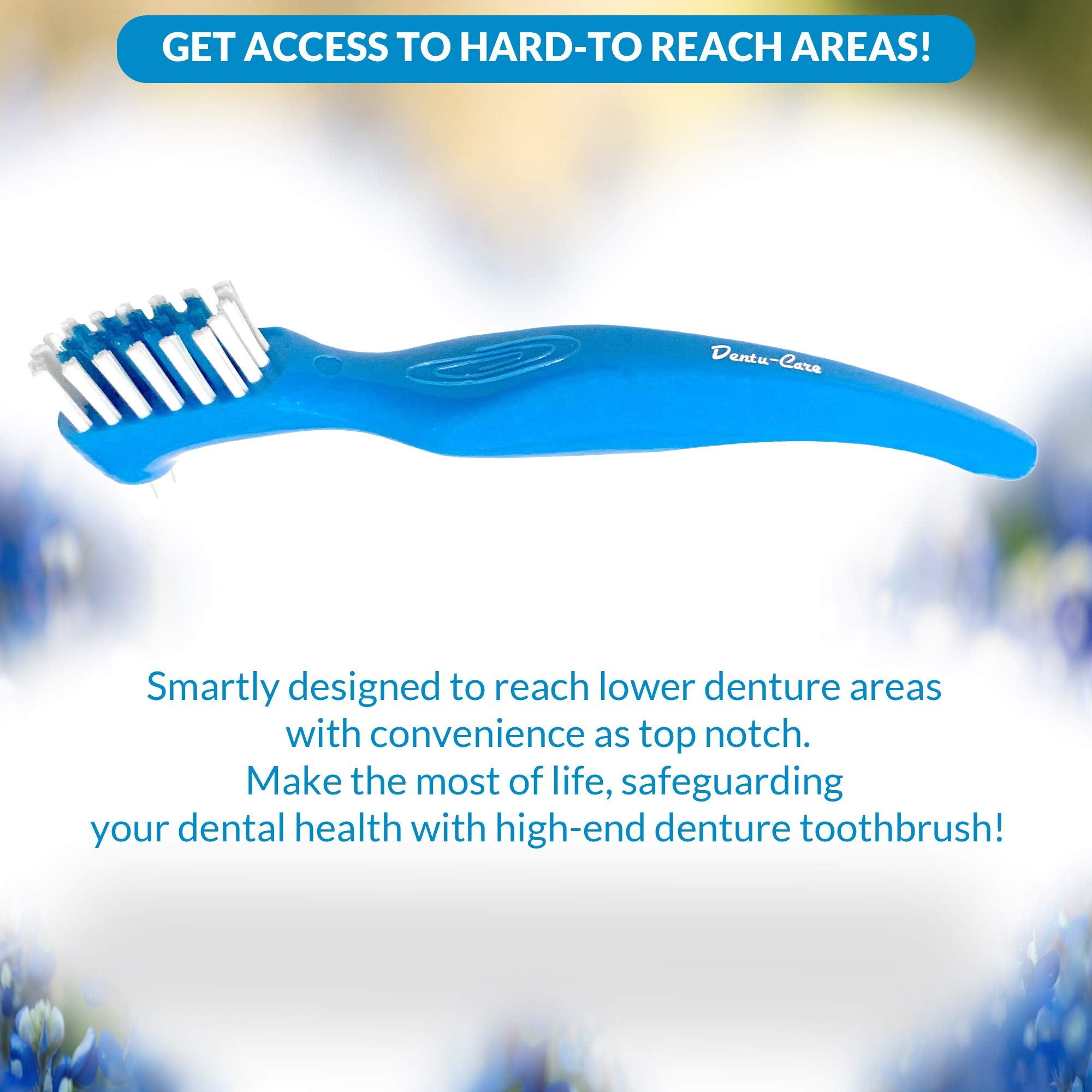 Travel kit including NaturDent adhesive and Dentu-Care brush