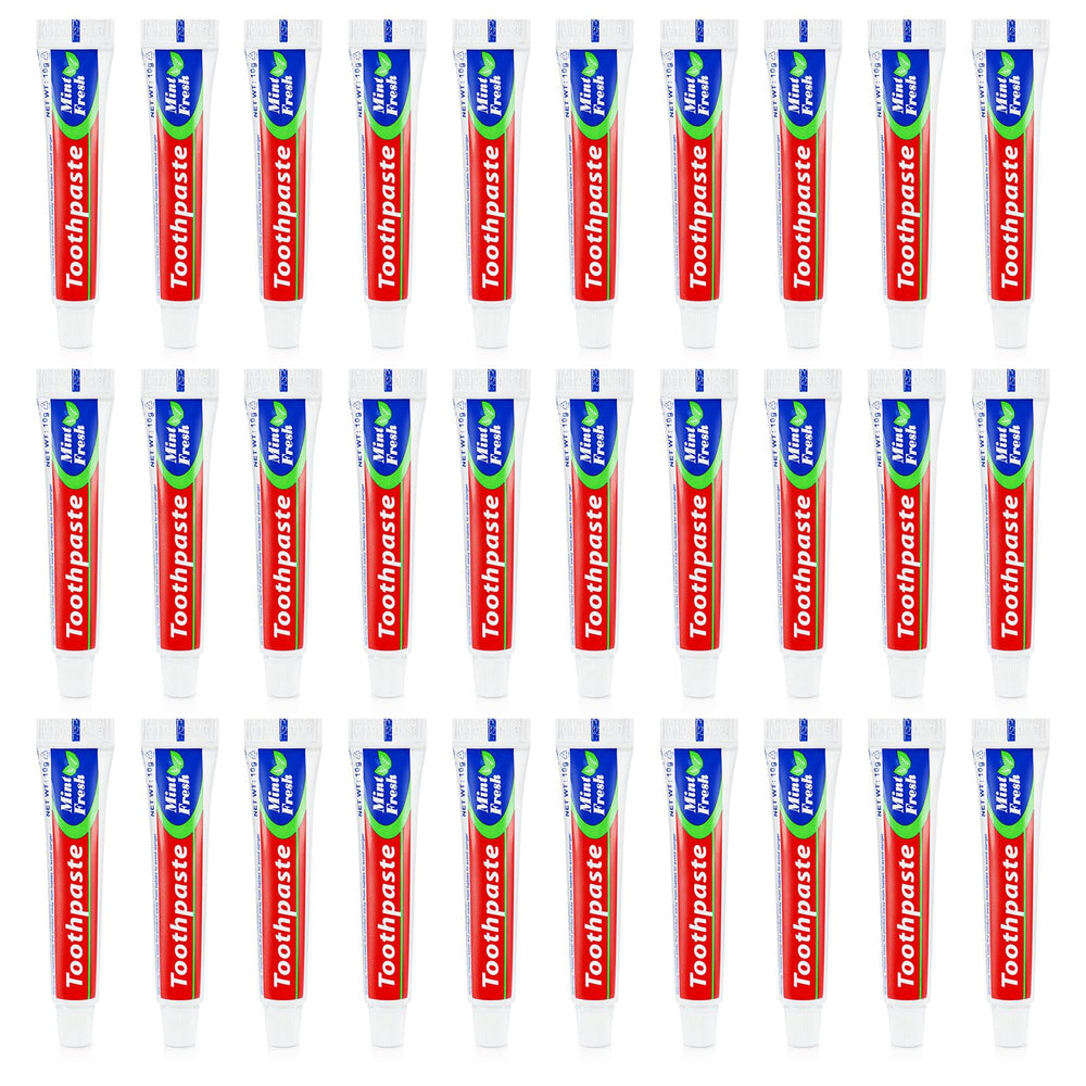 Bulk pack of 30 disposable travel size toothpaste tubes with mint flavor