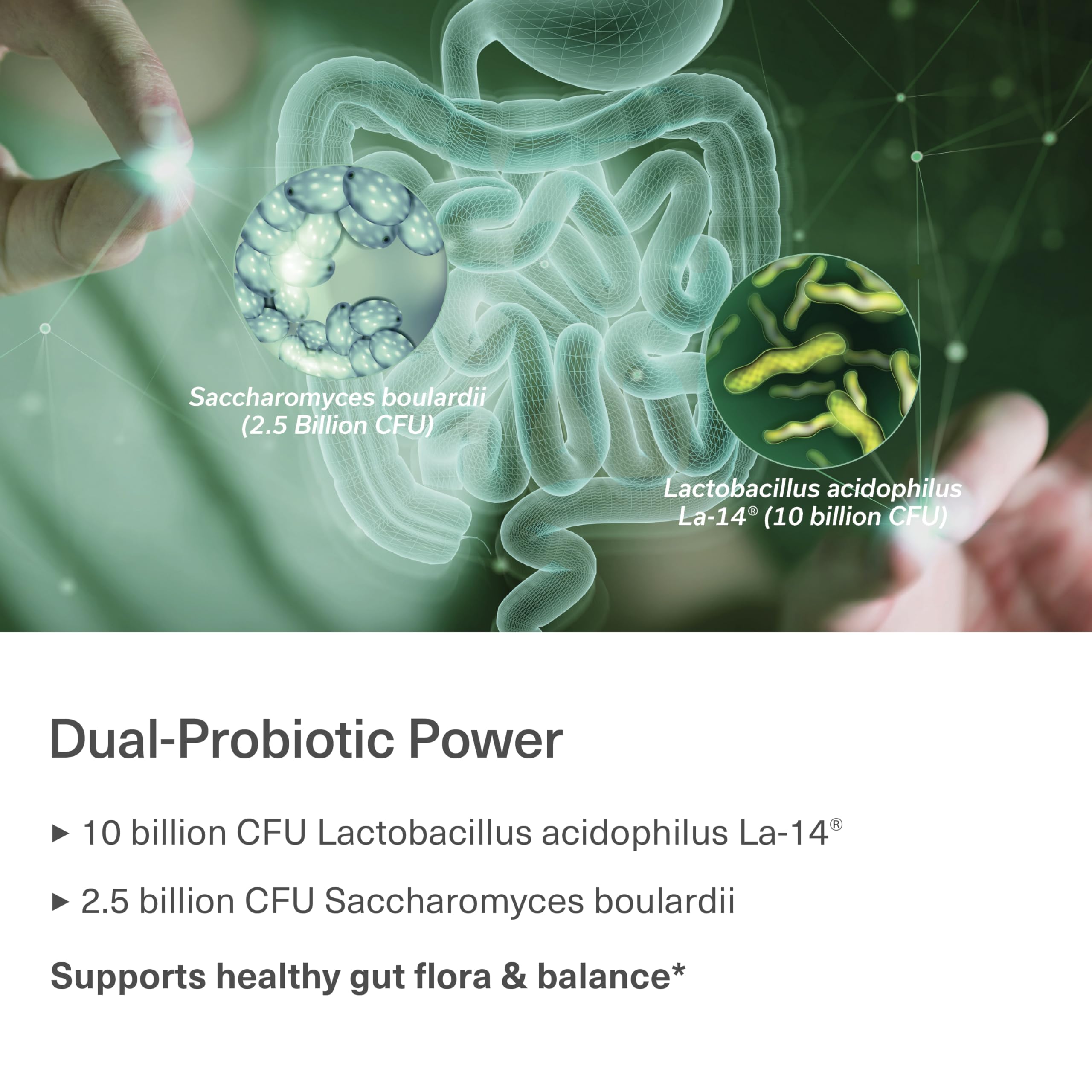 Made in USA in a cGMP-certified facility