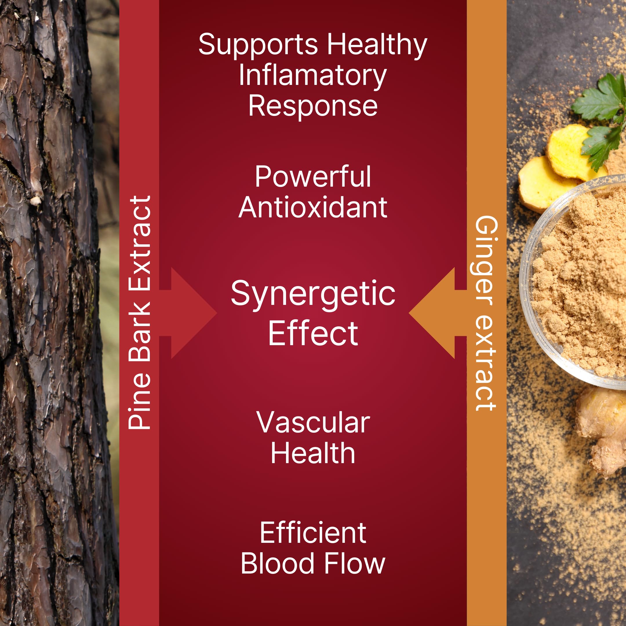 TravelSana packaging and branding