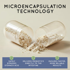 Probiotic blend with 16 strains for immune support