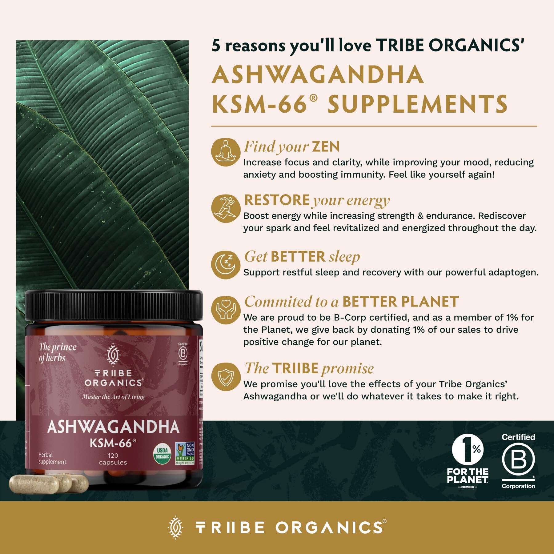 Front view of TRIBE ORGANICS Ashwagandha KSM-66 bottle