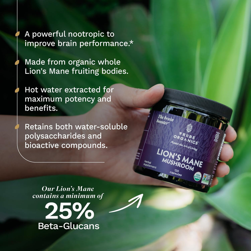 Graphic showing Beta-Glucans content in Lion’s Mane extract