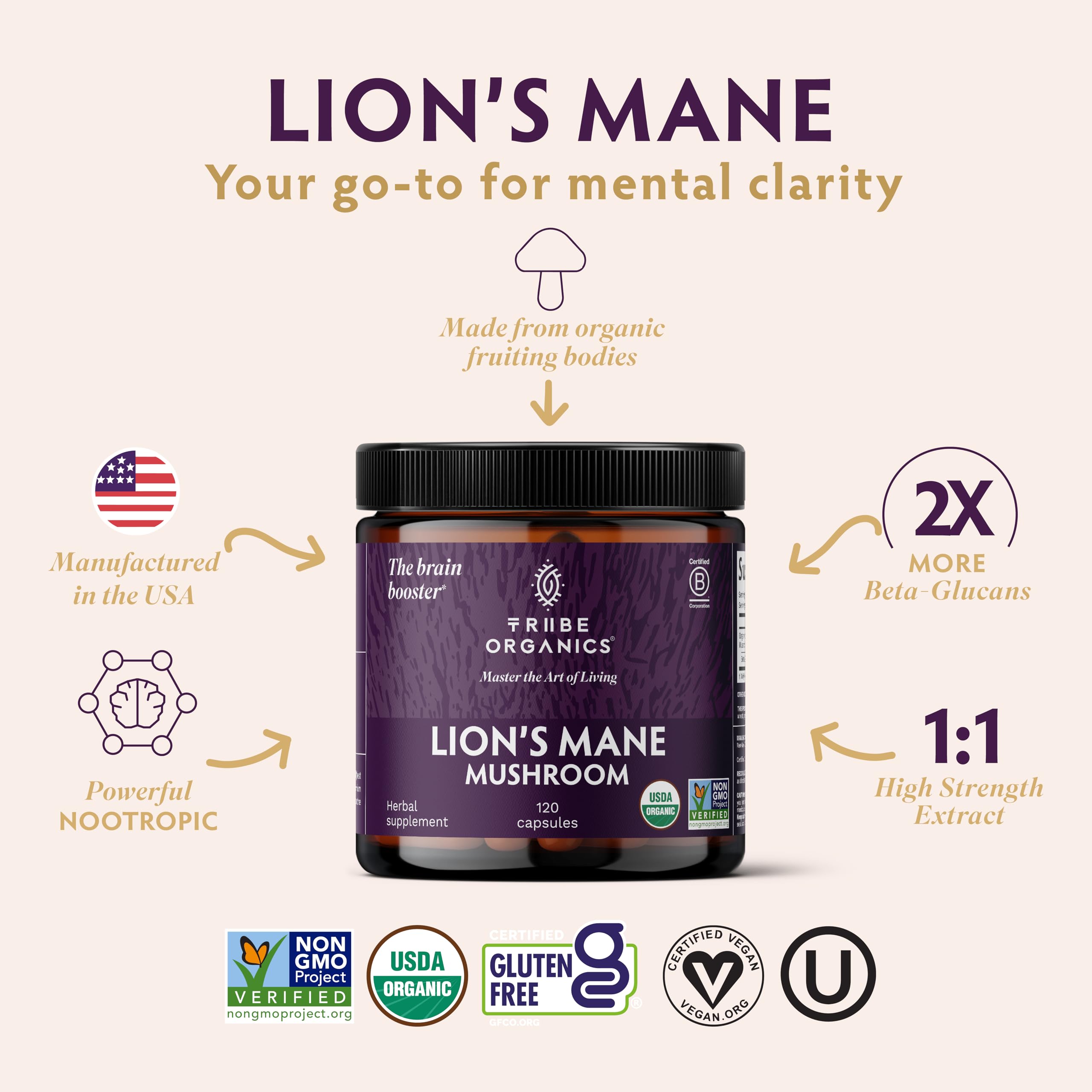 Bottle of Lion’s Mane capsules with product label