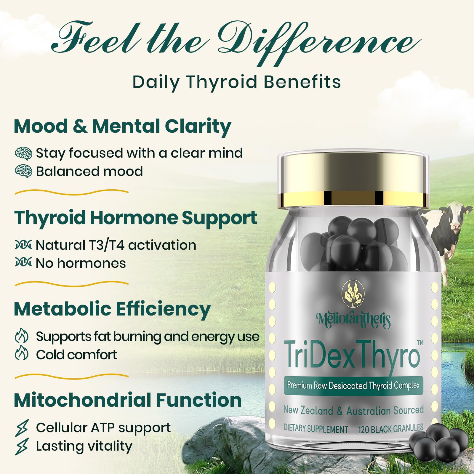 Raw bead technology with flash-frozen preservation and 3 mm granules