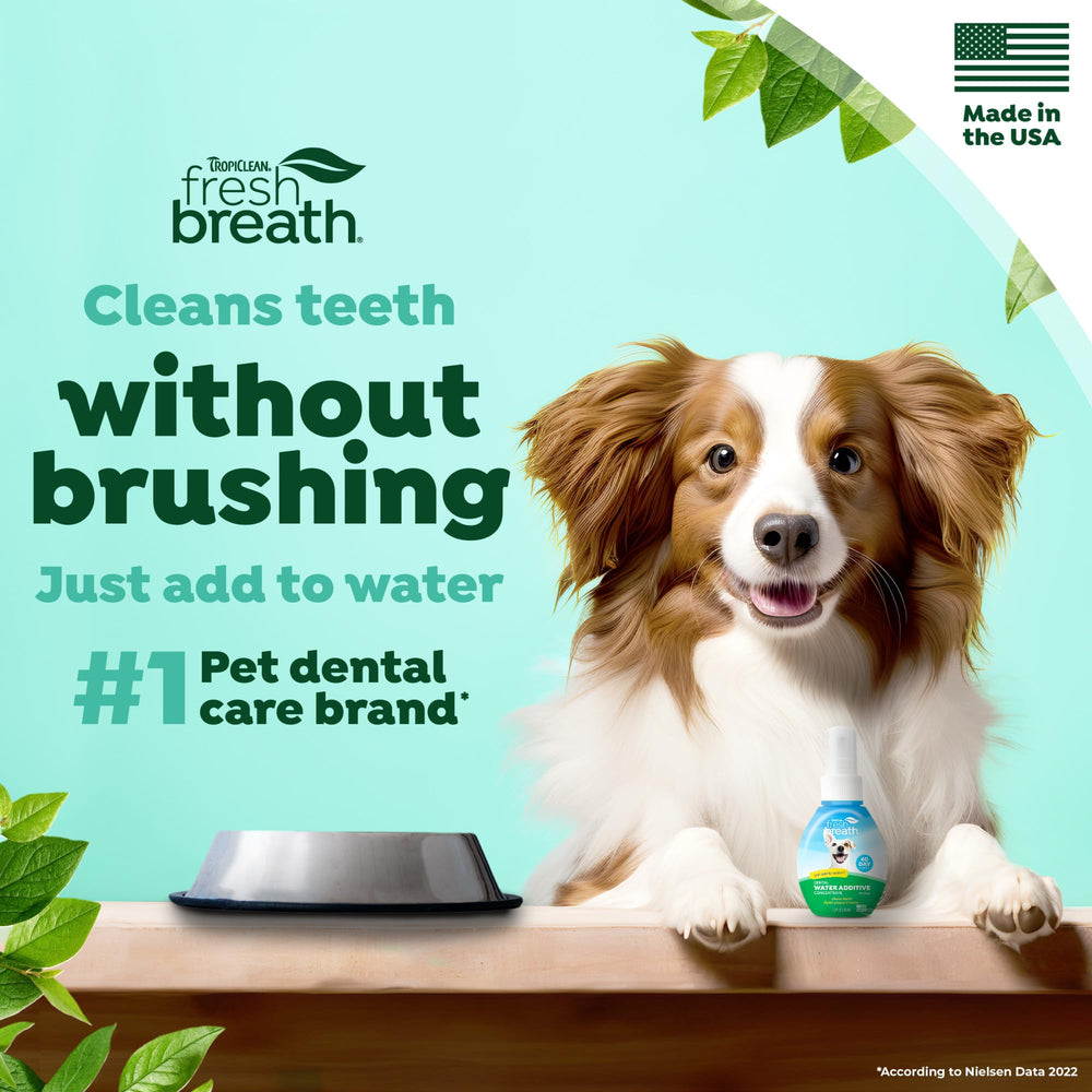 Close-up of dog's breath after using TropiClean water additive