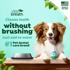 Close-up of dog's breath after using TropiClean water additive