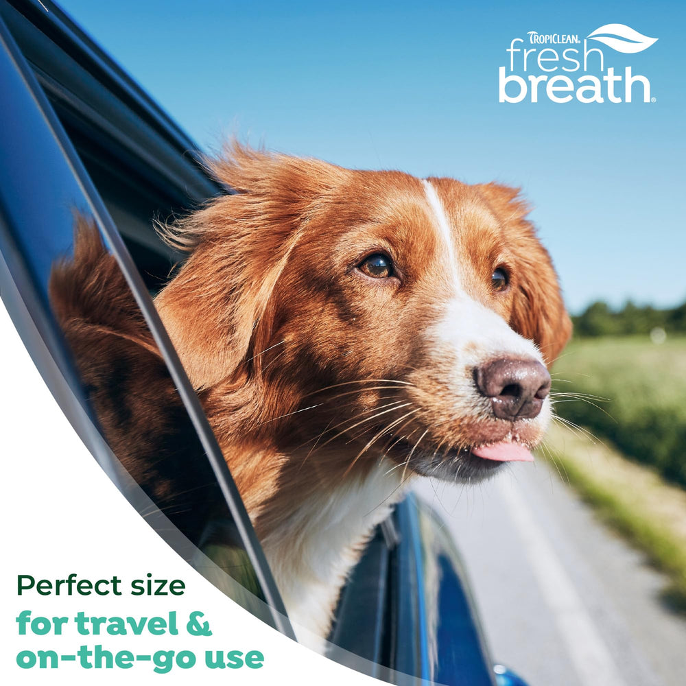 Happy dog after using TropiClean Fresh Breath Water Additive