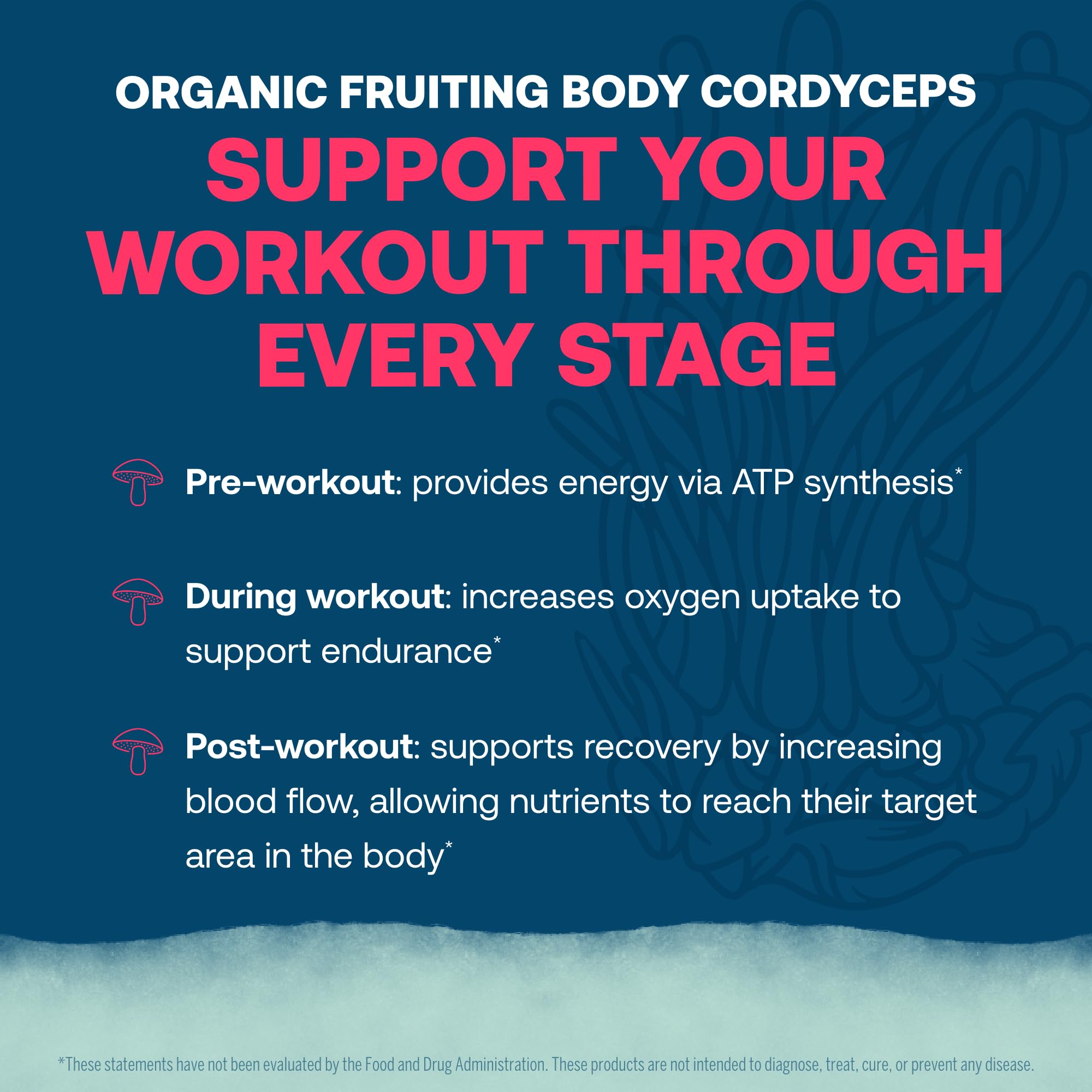 True Grace ElectroMag cordyceps mushroom image suggesting endurance support during workouts.