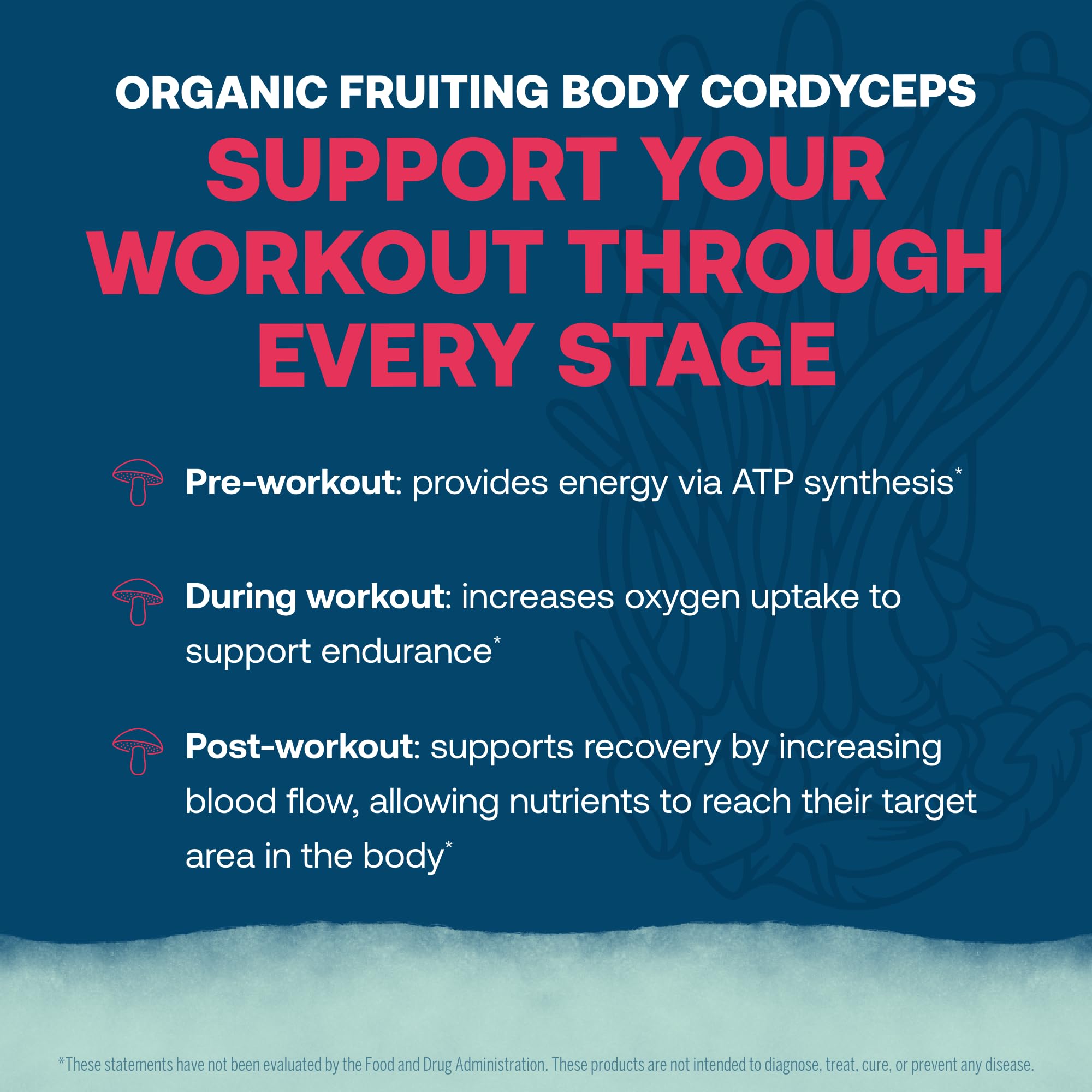 True Grace ElectroMag watermelon servings box showing 16-stick count