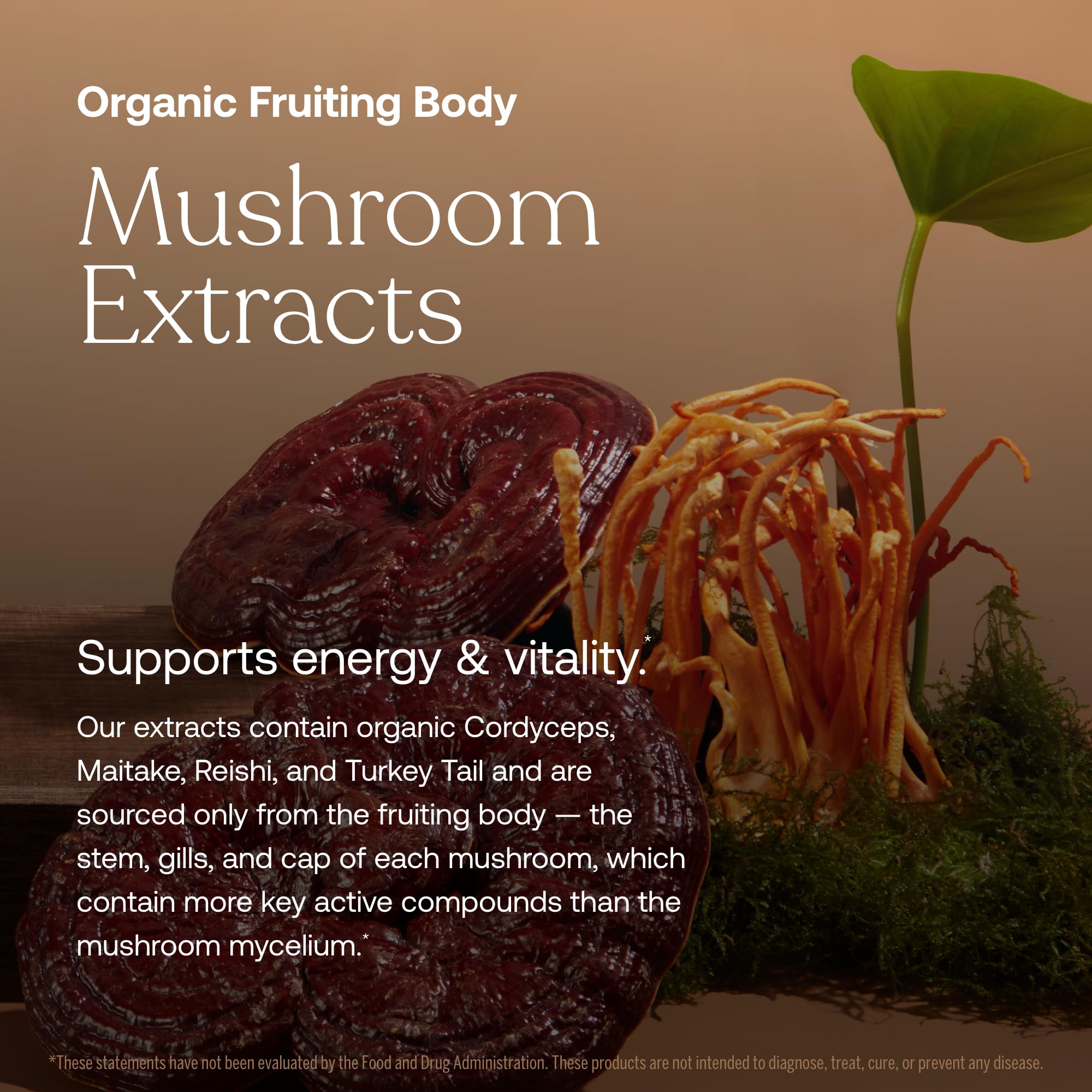 Organic mushroom blend including Reishi, Maitake, Turkey Tail and Cordyceps