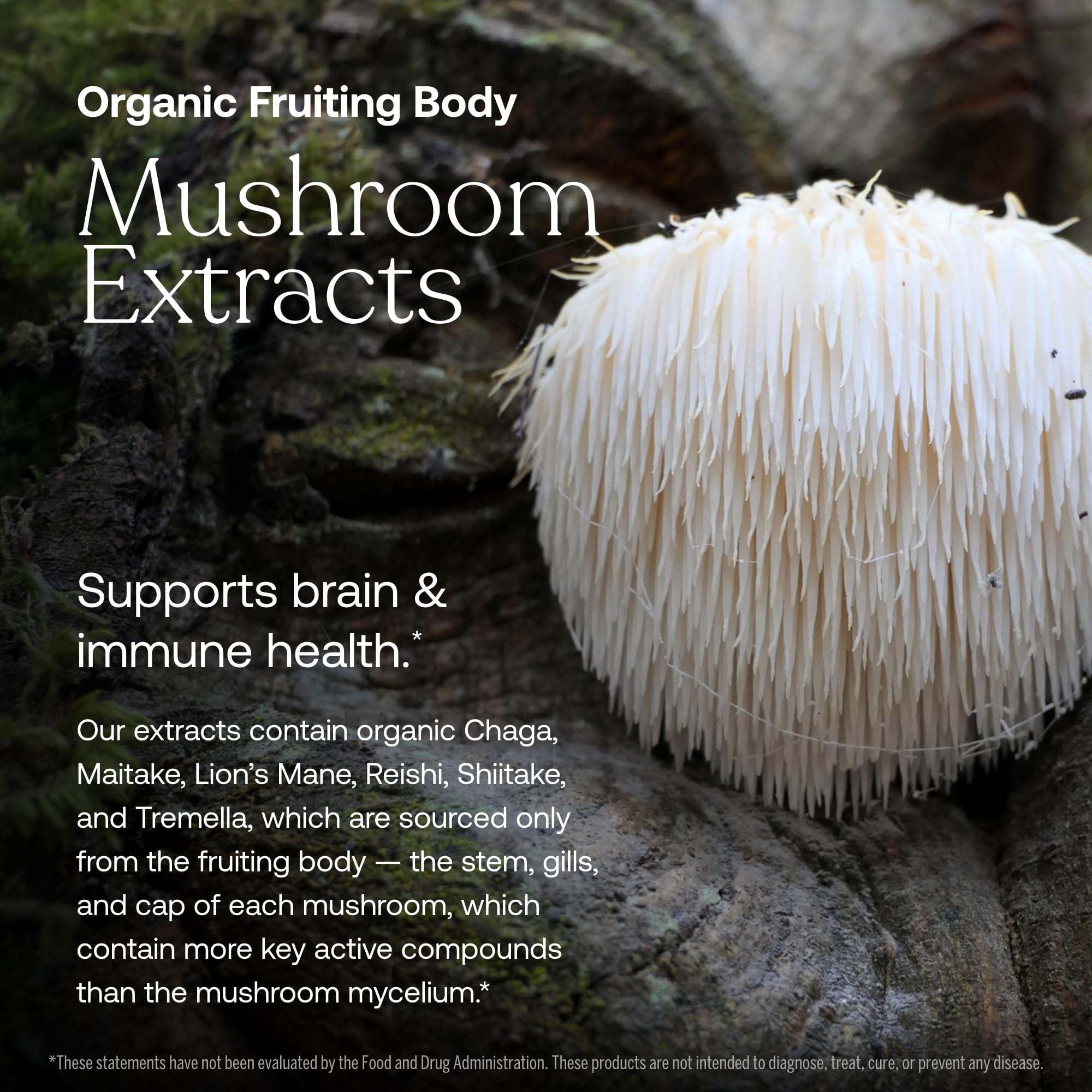 Auryvedic adaptogenic blend with holy basil and ashwagha