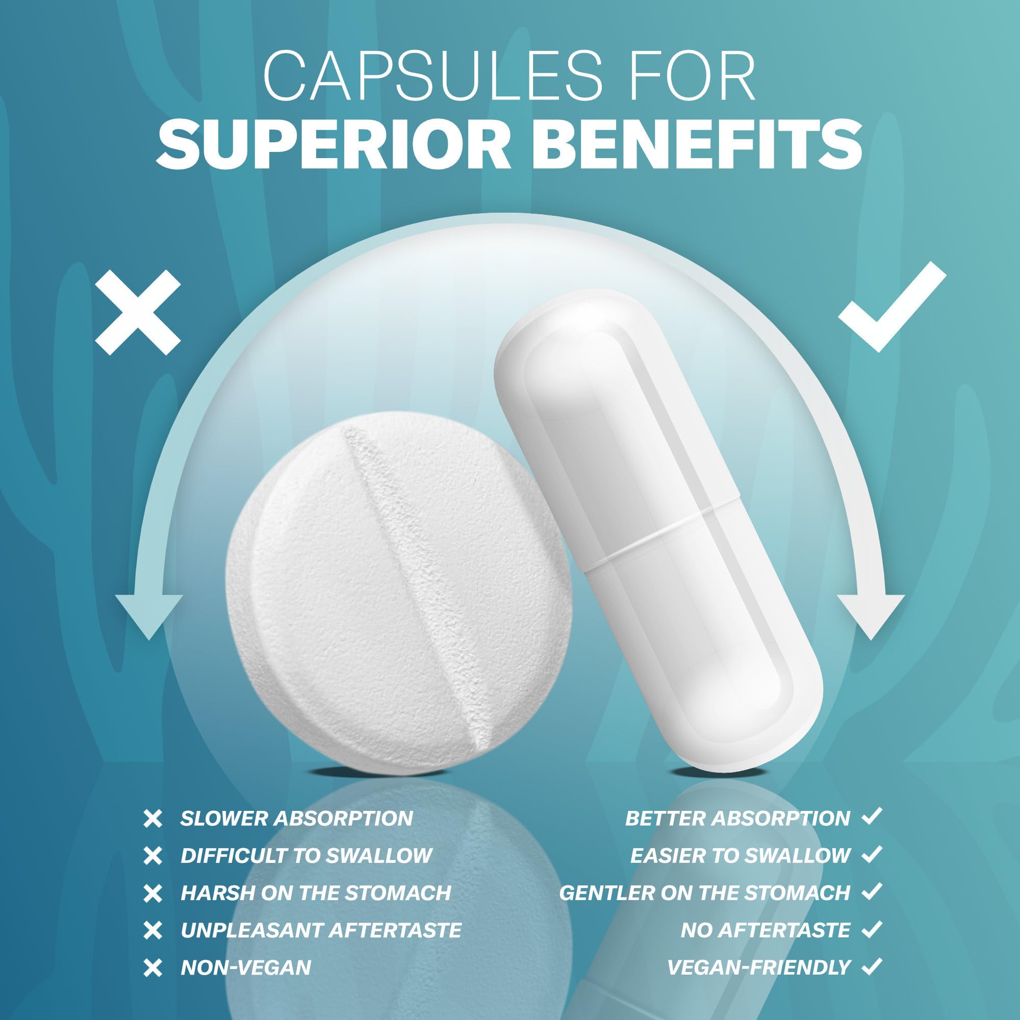 Graphic illustrating immune, digestive, and skin benefits