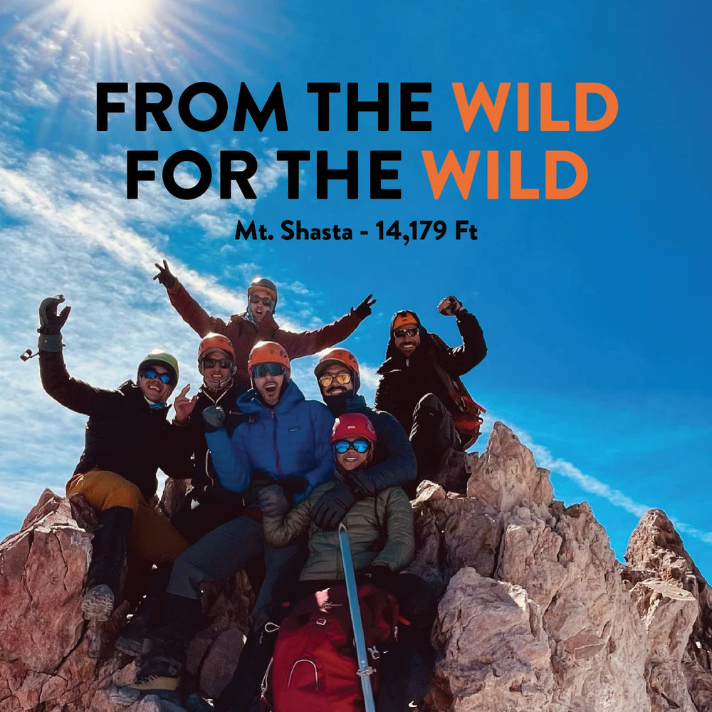 TruWild Motion pink Himalayan salt imagery signals balanced electrolytes