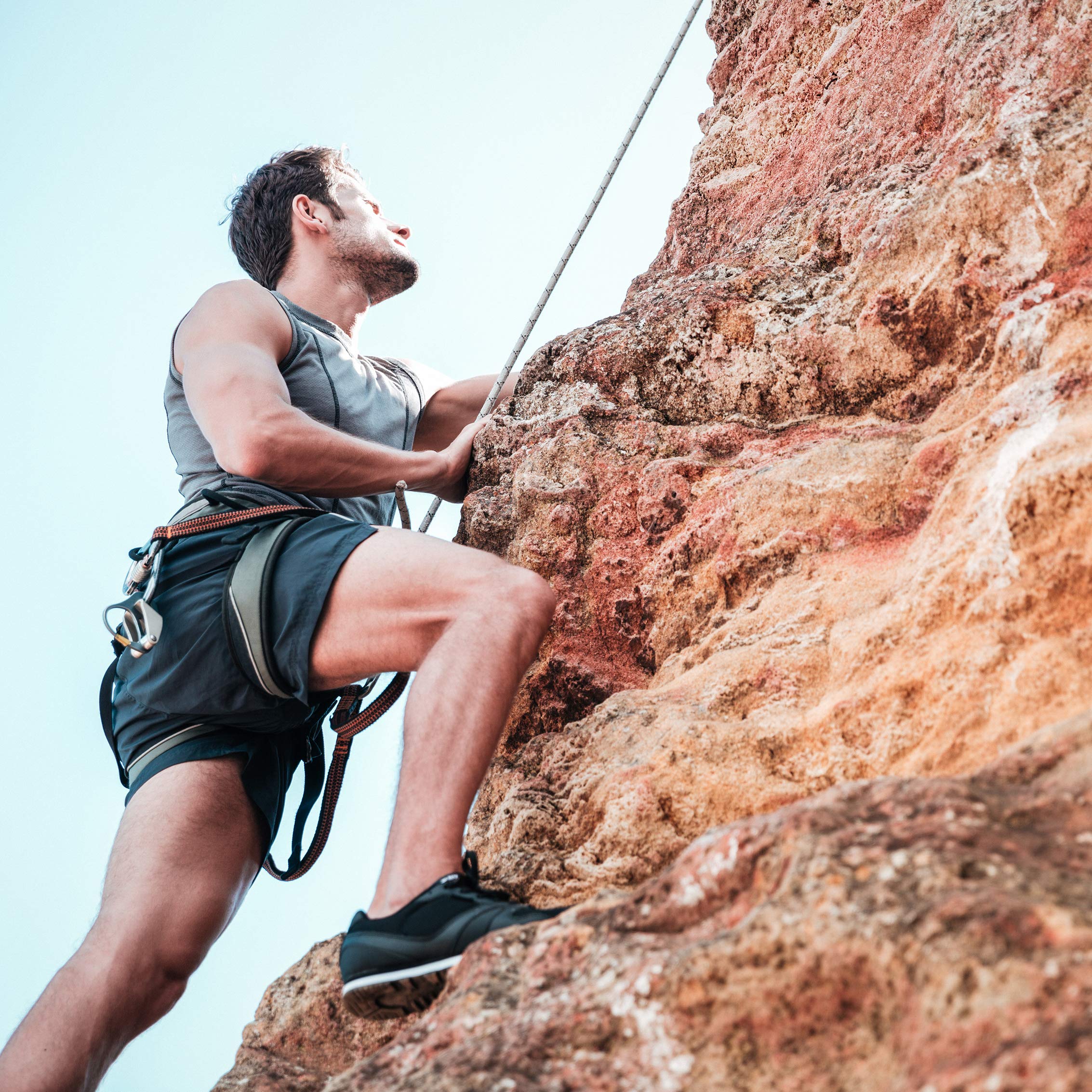 TruWild Motion vegan, non-GMO, gluten-free badge on the label