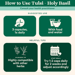 Tulsi capsules ingredients panel