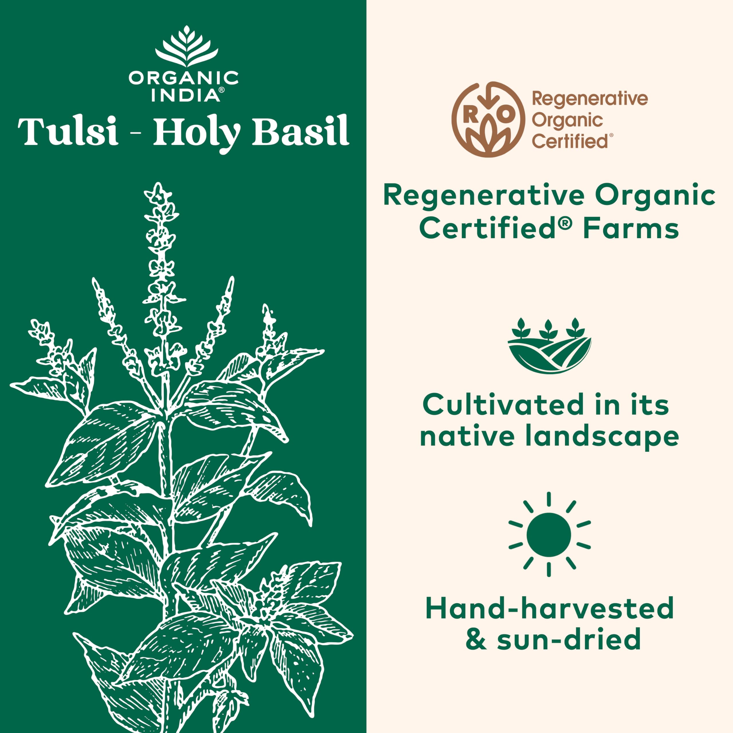 Close-up of Tulsi (Holy Basil) capsules