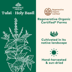 Close-up of Tulsi (Holy Basil) capsules