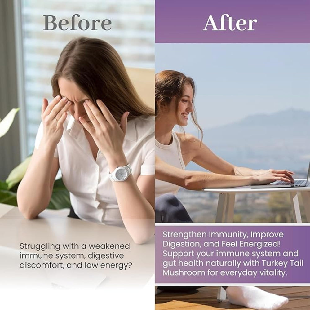 Turkey Tail capsules arranged in a row for daily support