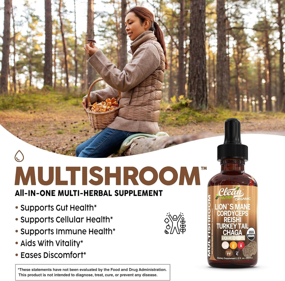 Turkey Tail extract powder beside mushrooms