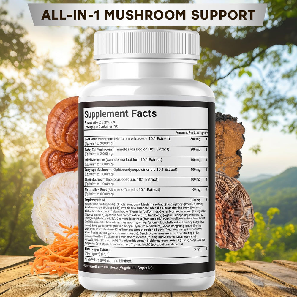 Bottle featuring Lions Mane, Turkey Tail, Reishi, Chaga, and Cordyceps mushrooms