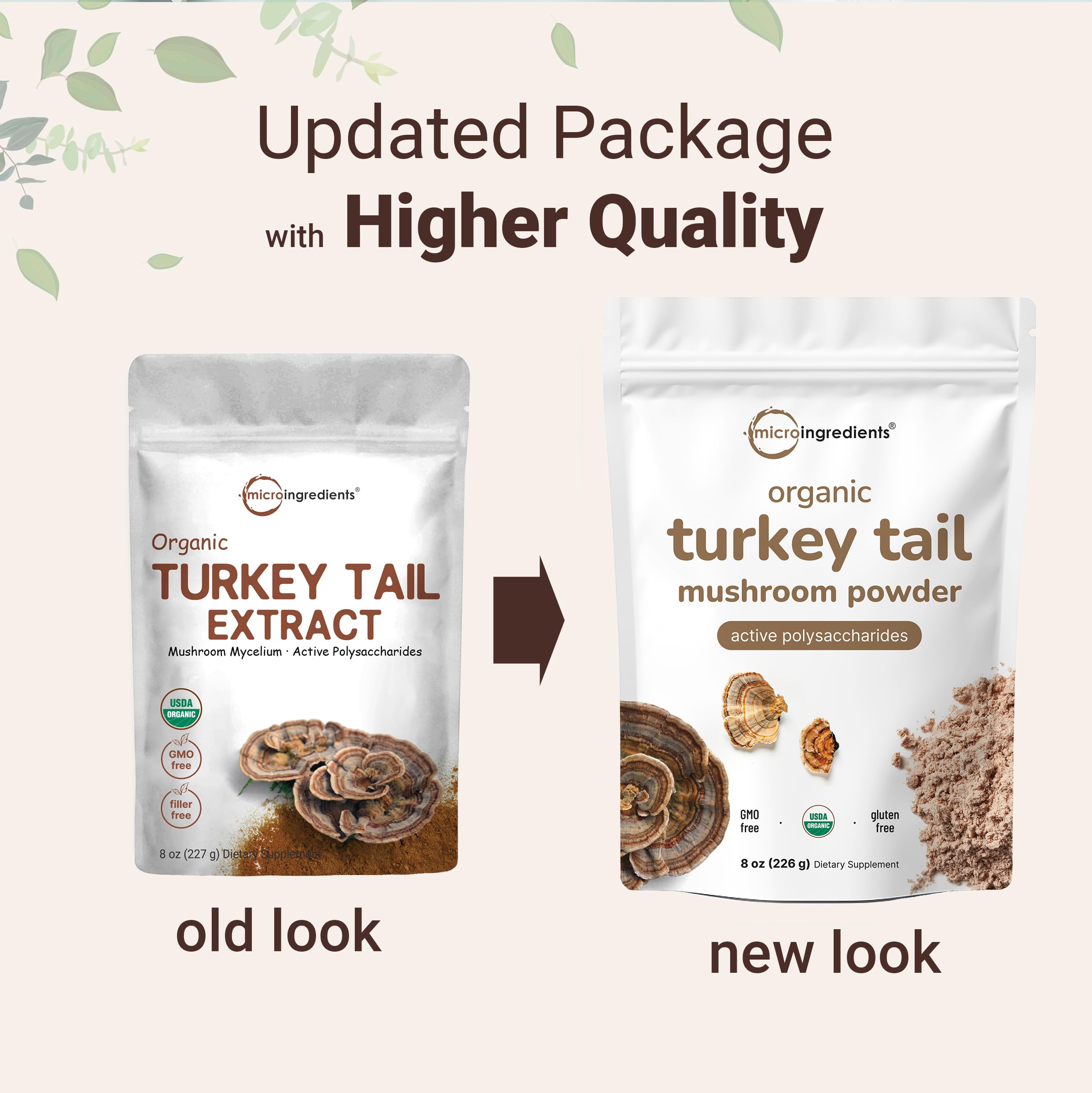 Active polysaccharides in turkey tail mushroom powder