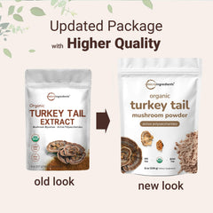 Active polysaccharides in turkey tail mushroom powder