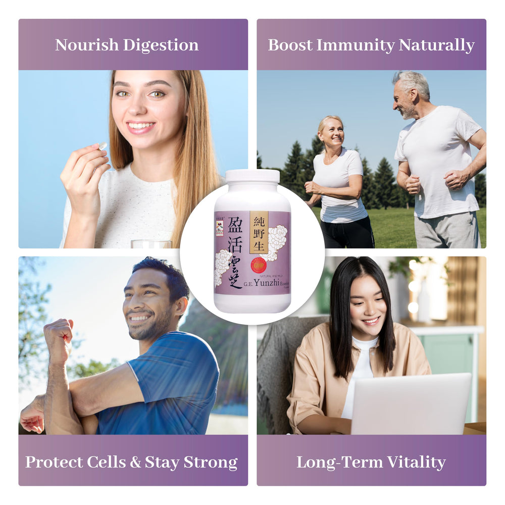 Supplement facts label on Turkey Tail capsules bottle