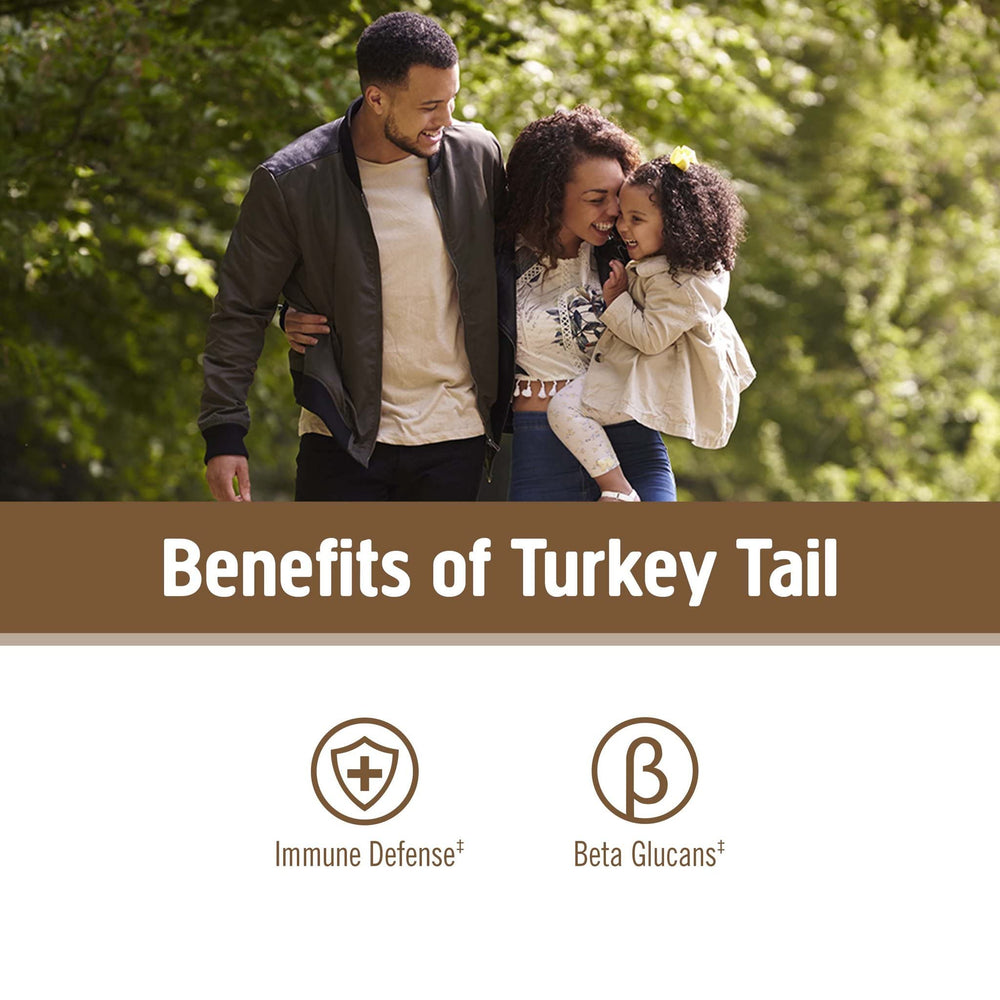 Bottle of turkey tail mushroom powder with 100 servings