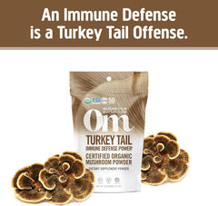 Bulk turkey tail mushroom powder