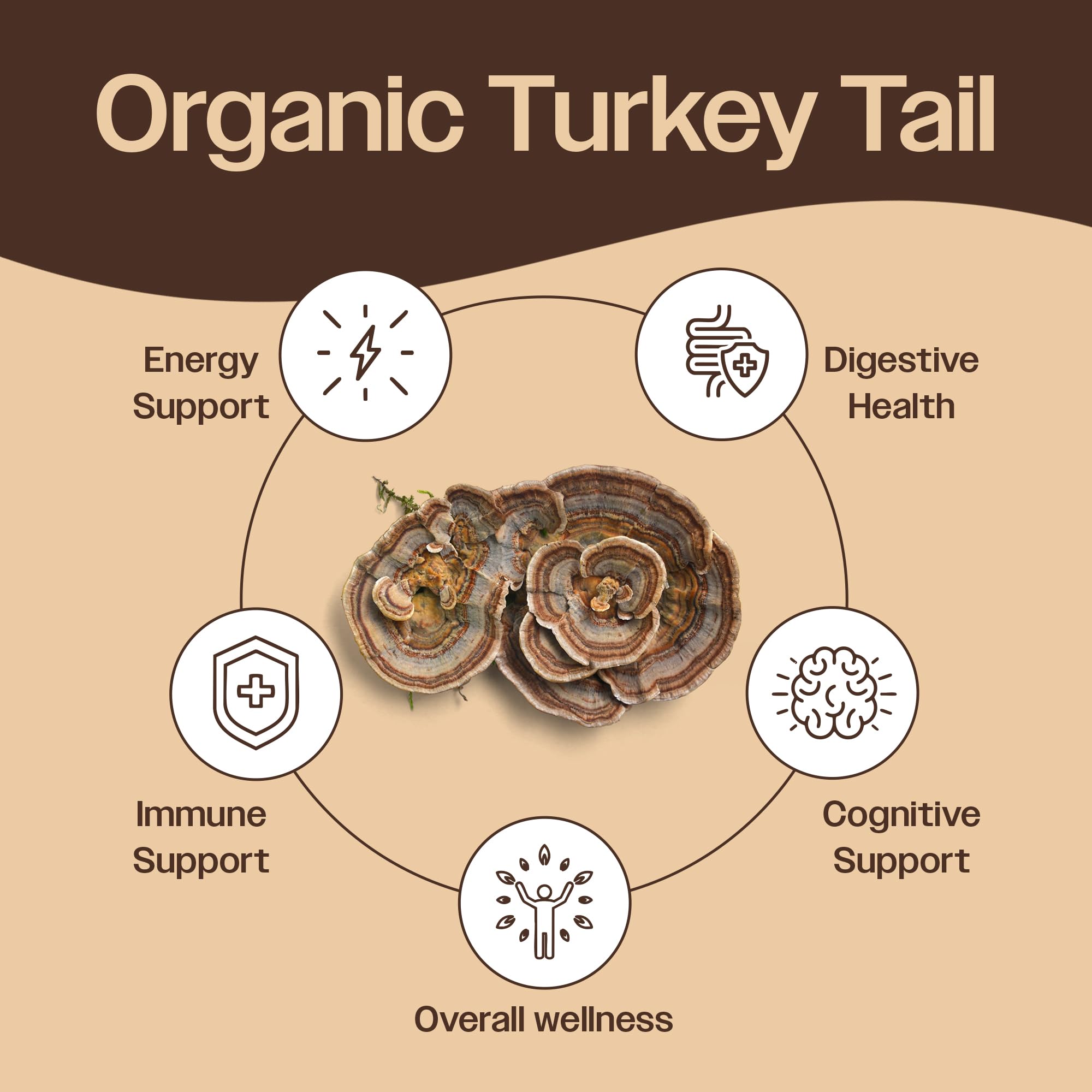 Package label showing USDA Organic, Non-GMO, Gluten-Free