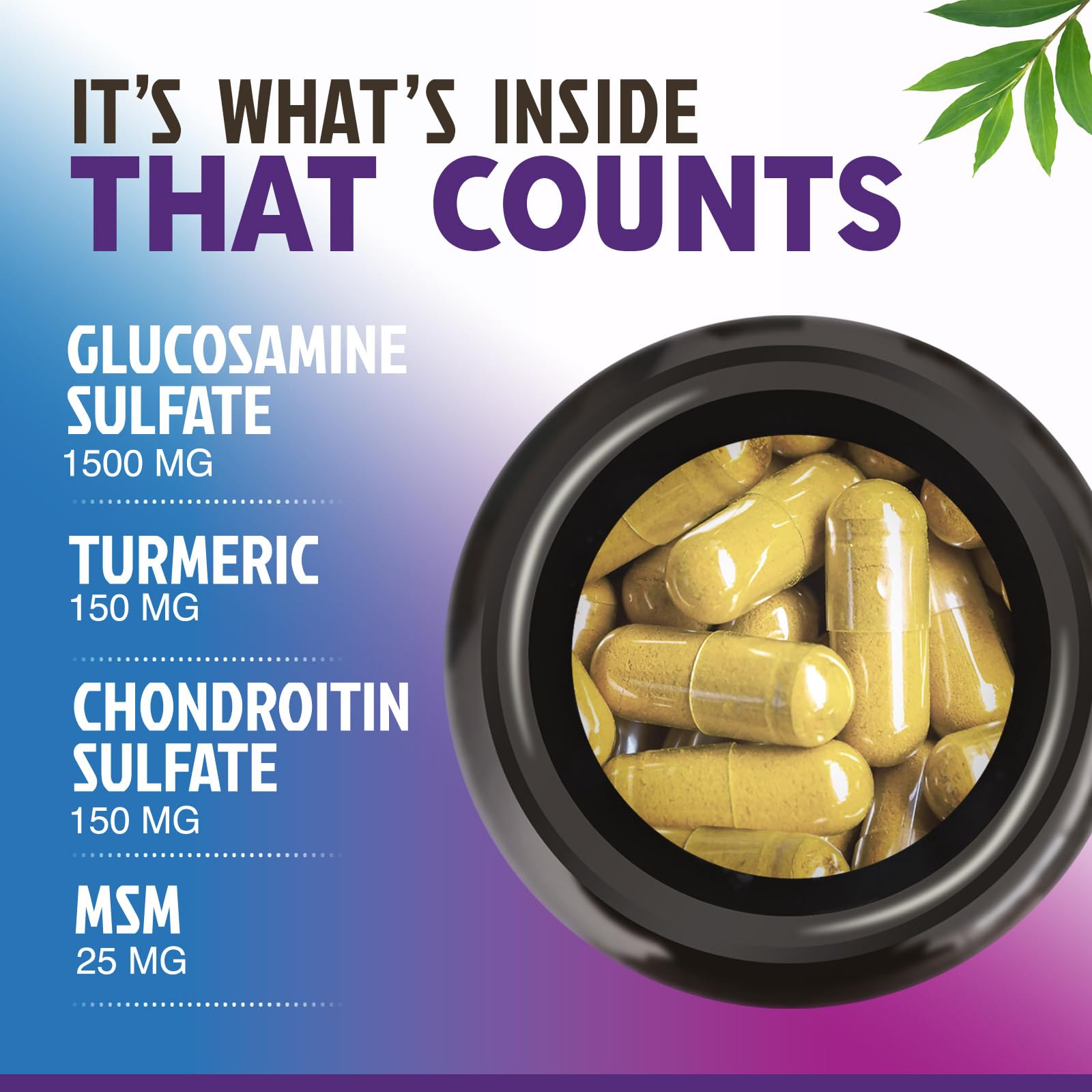 Turmeric and Boswellia ingredients for joint support
