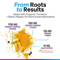 Organic ginger root on white background