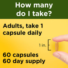 One daily 500 mg turmeric curcumin capsule with water