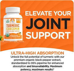 Turmeric Curcumin with 95% curcuminoids – vegan, non-GMO capsules