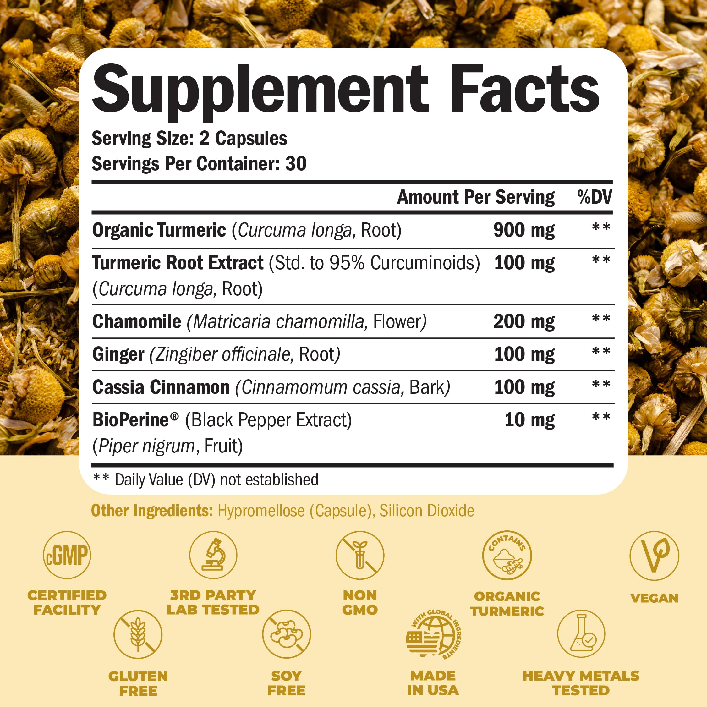 Turmeric Curcumin 95% extract powder container