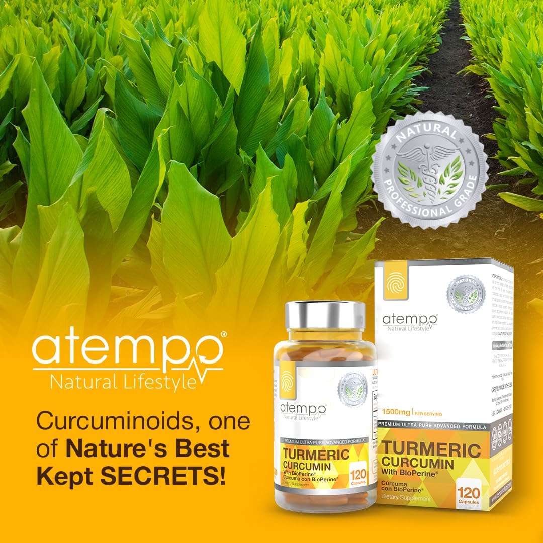 Clean formula and high-potency turmeric composition