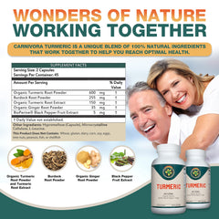 Close-up of turmeric, curcumin, ginger, burdock and black pepper