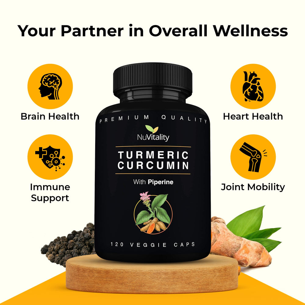 GMP-certified turmeric curcumin production facility