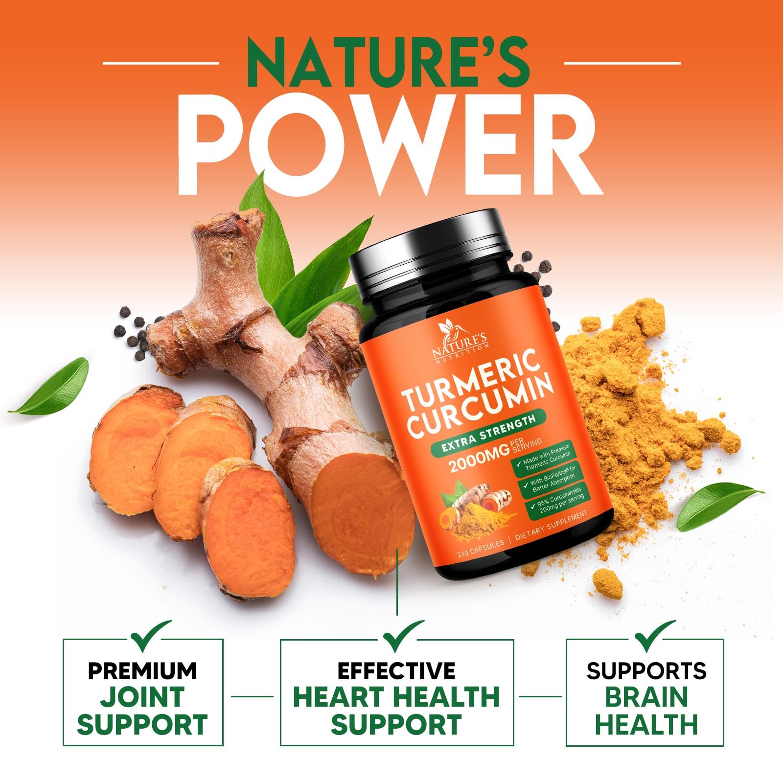 Organic turmeric root illustration