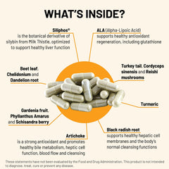 Turmeric and mushroom blend used in Liver C