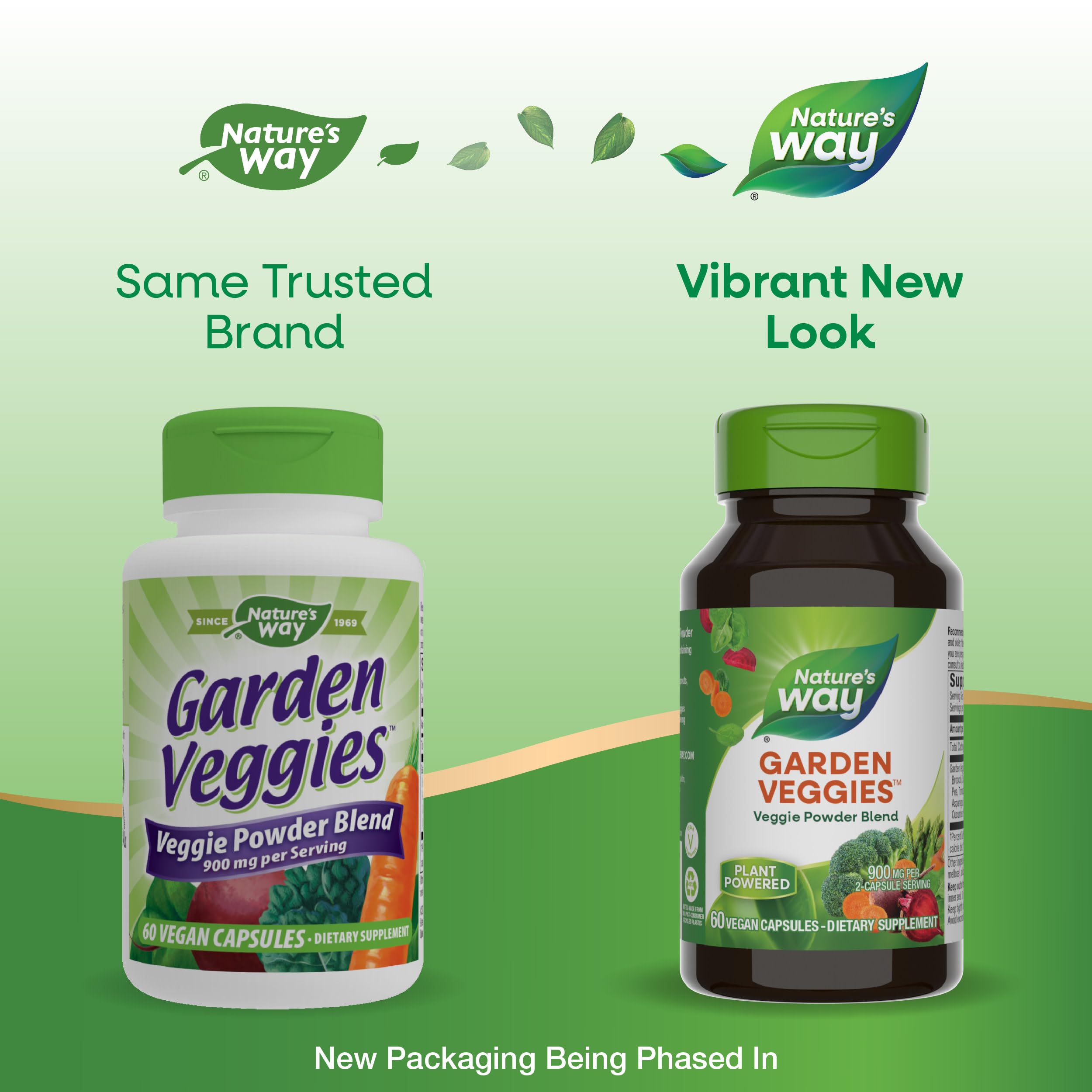 Powder contains 12 vegetables