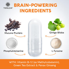Illustration of L-Tyrosine and Mucuna Pruriens ingredients
